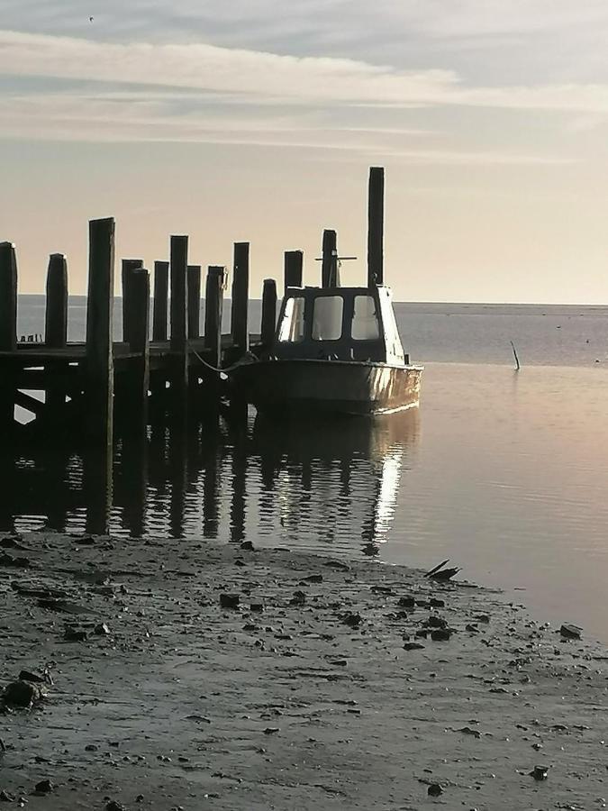 德科克斯多普Dock10Texel住宿加早餐旅馆 外观 照片
